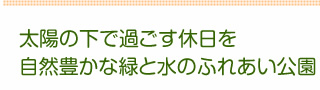 太陽の下で過ごす休日を自然豊かな緑と水のふれあい公園