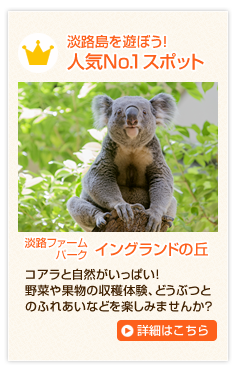 イングランドの丘